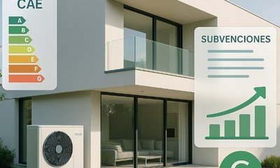 Comparación CAE y subvenciones